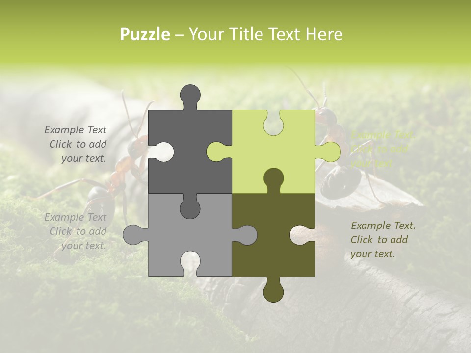 Car Way Rural PowerPoint Template