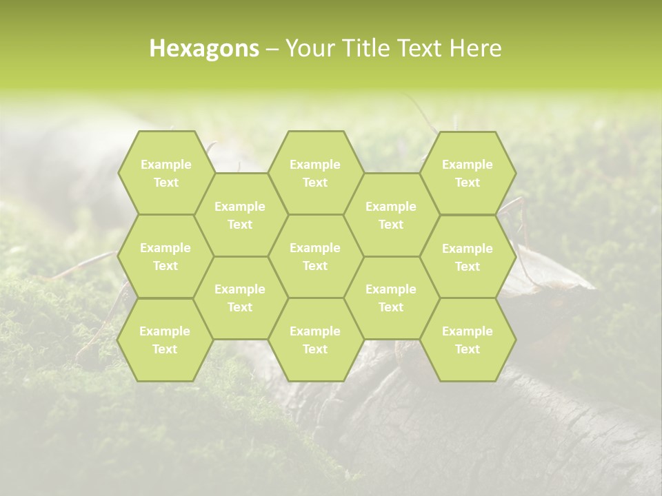 Car Way Rural PowerPoint Template