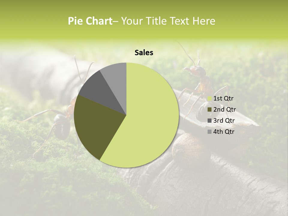 Car Way Rural PowerPoint Template