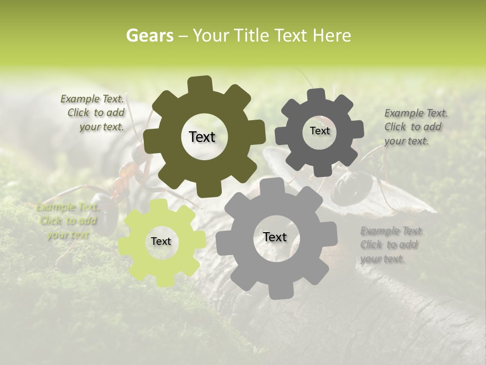 Car Way Rural PowerPoint Template