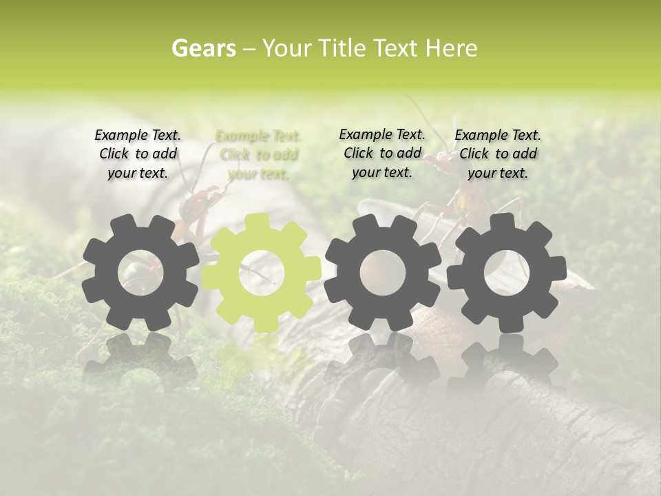 Car Way Rural PowerPoint Template