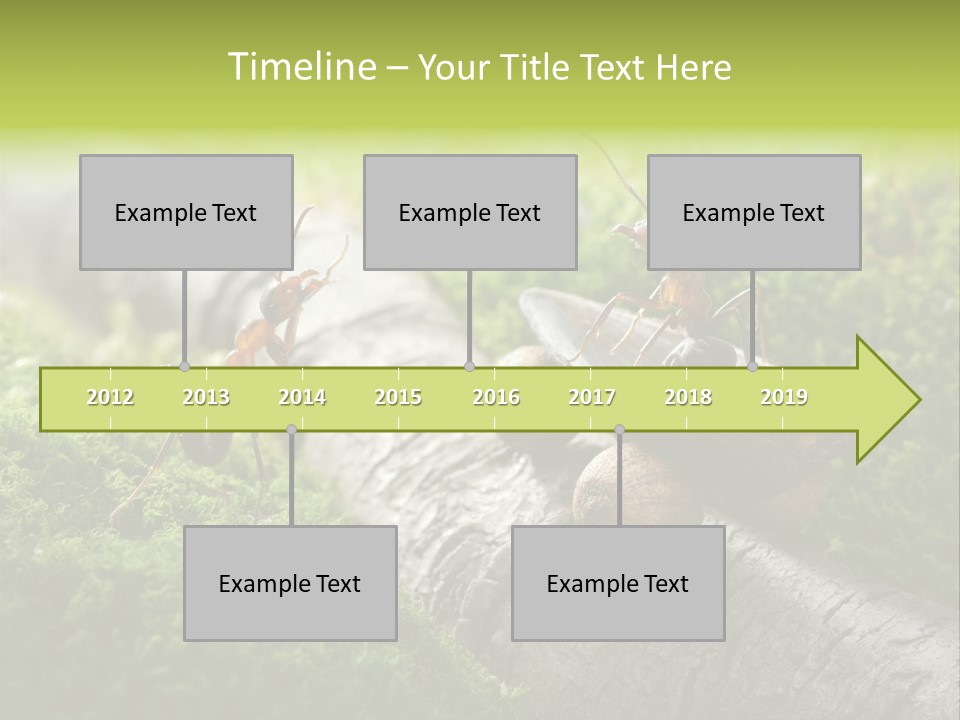 Car Way Rural PowerPoint Template
