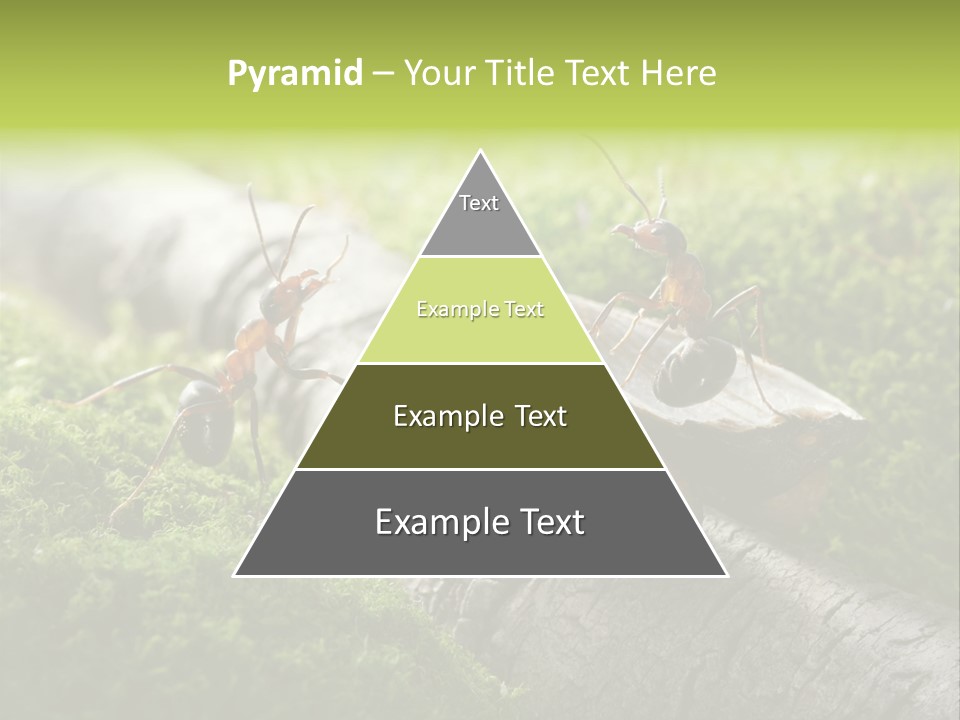 Car Way Rural PowerPoint Template