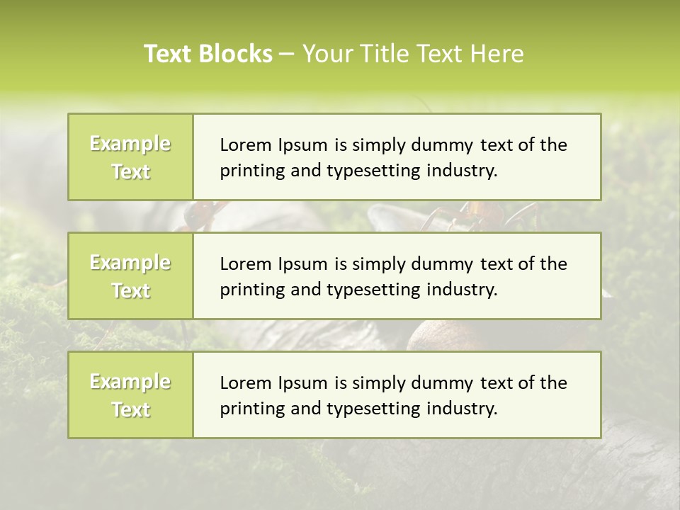 Car Way Rural PowerPoint Template