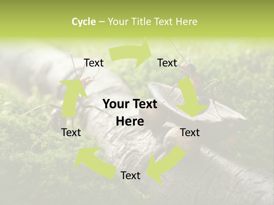 Car Way Rural PowerPoint Template