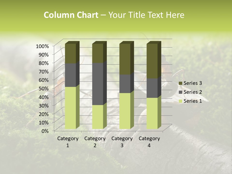 Car Way Rural PowerPoint Template