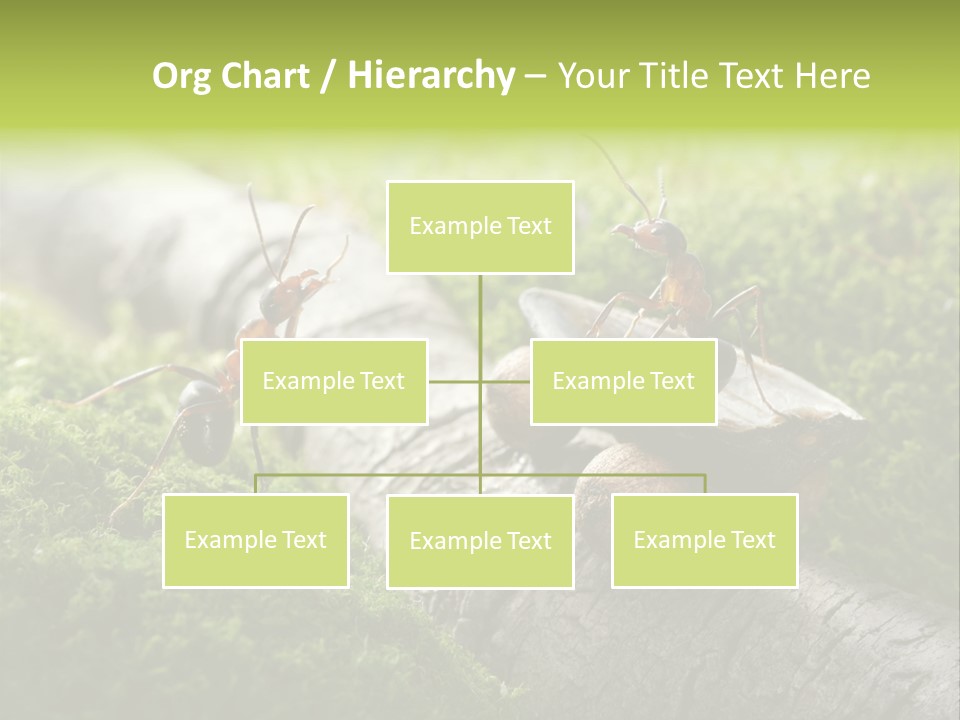 Car Way Rural PowerPoint Template