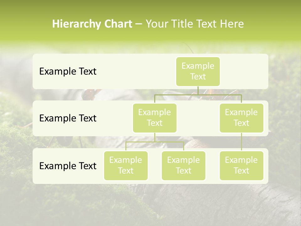Car Way Rural PowerPoint Template