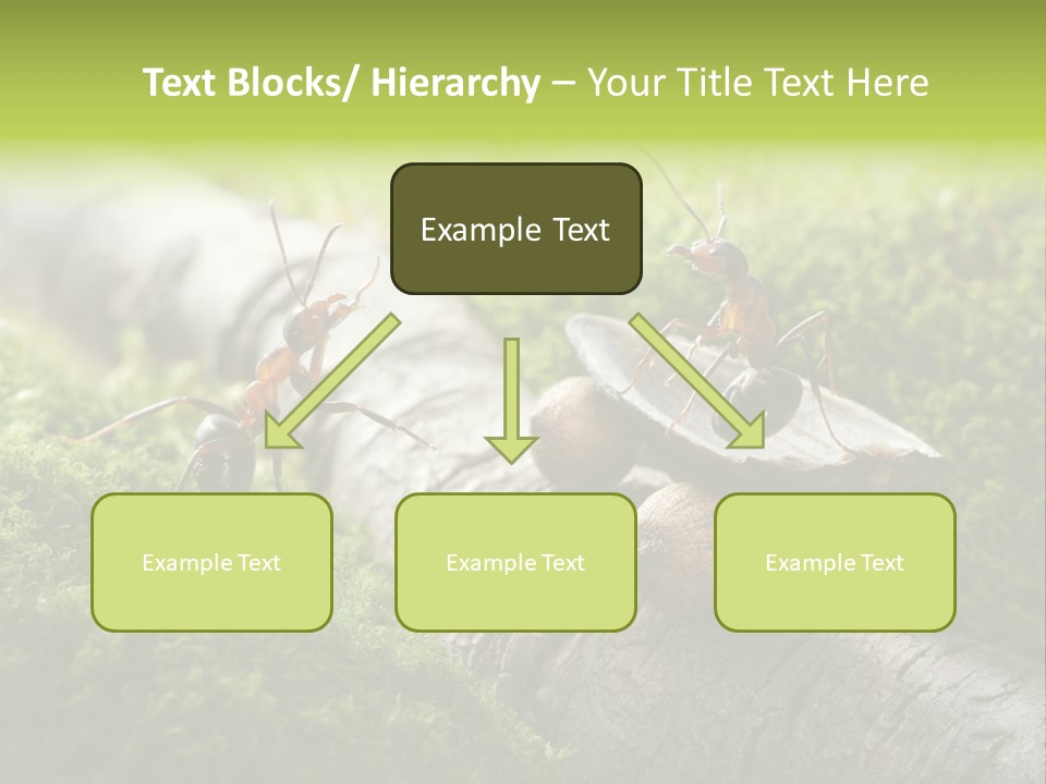 Car Way Rural PowerPoint Template