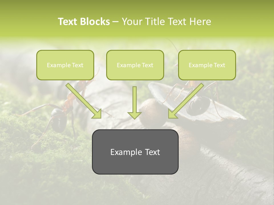 Car Way Rural PowerPoint Template