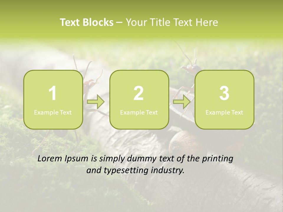 Car Way Rural PowerPoint Template