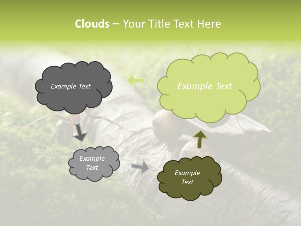 Car Way Rural PowerPoint Template