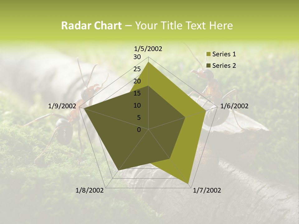 Car Way Rural PowerPoint Template