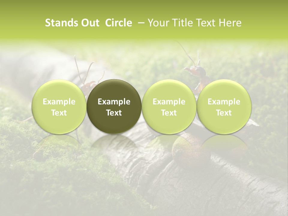 Car Way Rural PowerPoint Template