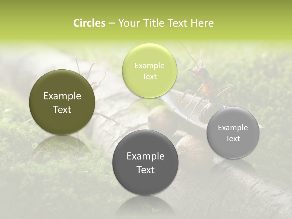 Car Way Rural PowerPoint Template