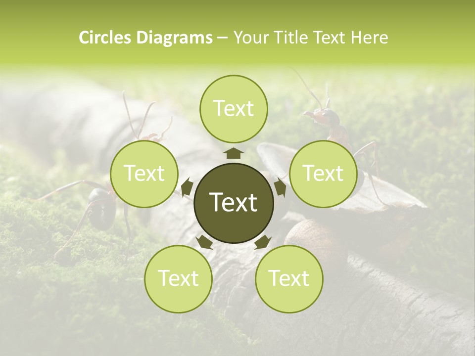 Car Way Rural PowerPoint Template