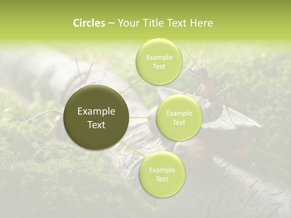 Car Way Rural PowerPoint Template