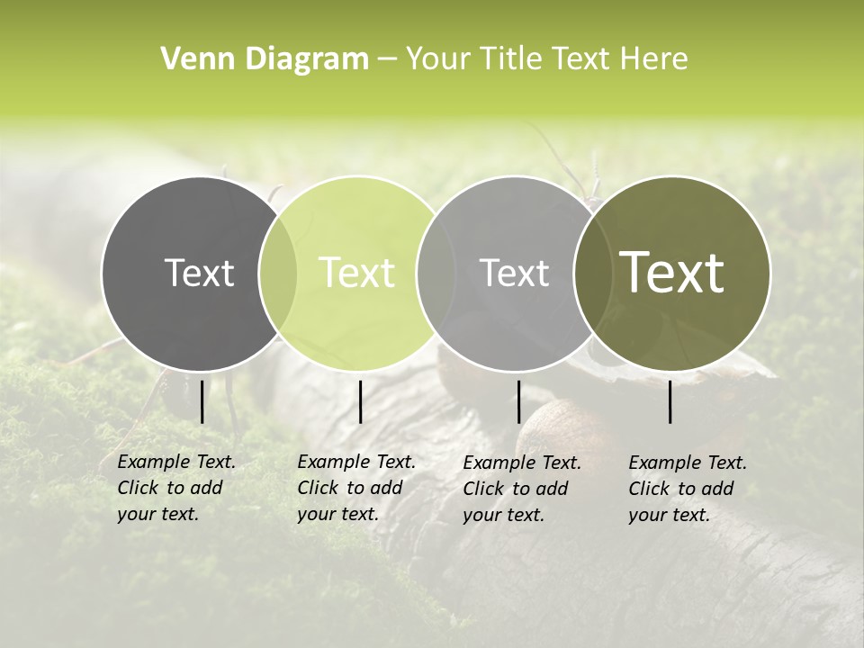 Car Way Rural PowerPoint Template