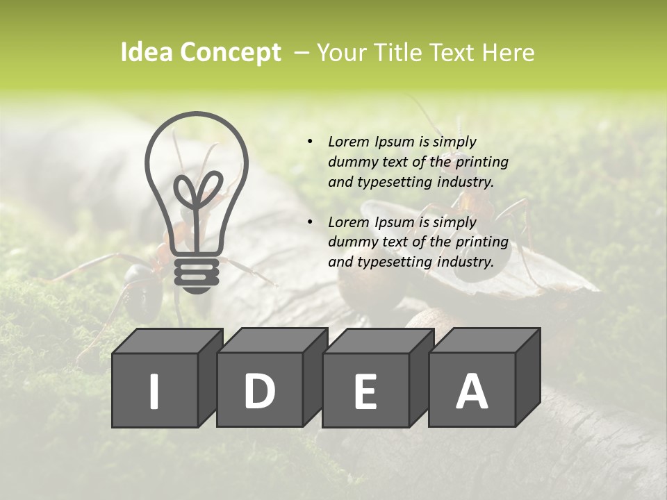 Car Way Rural PowerPoint Template