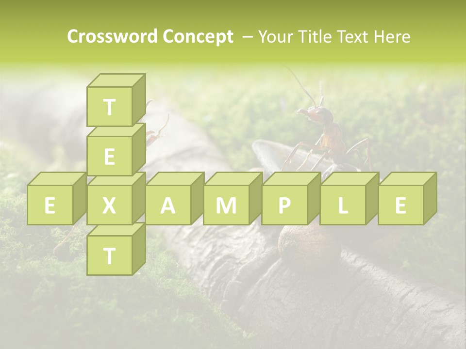 Car Way Rural PowerPoint Template