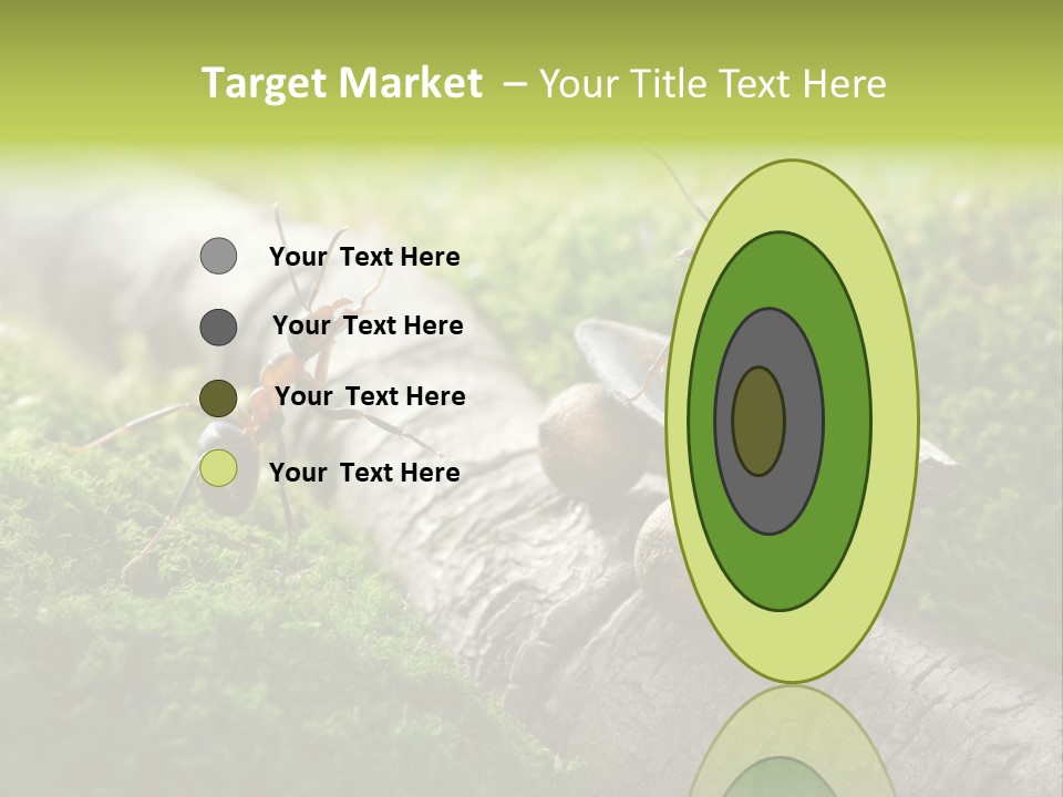 Car Way Rural PowerPoint Template