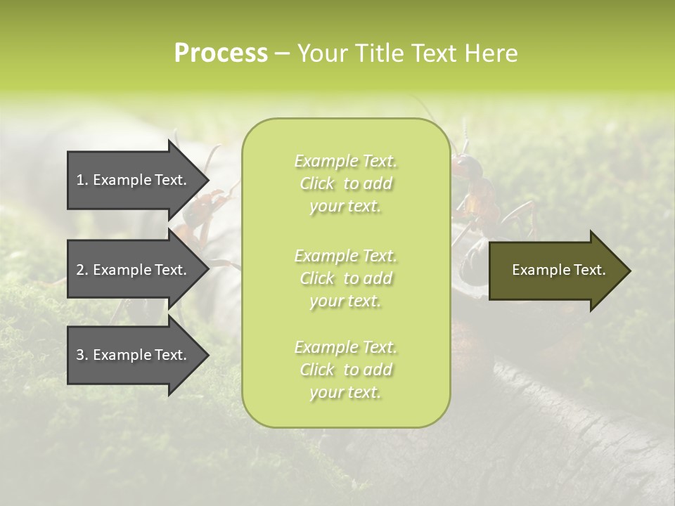 Car Way Rural PowerPoint Template
