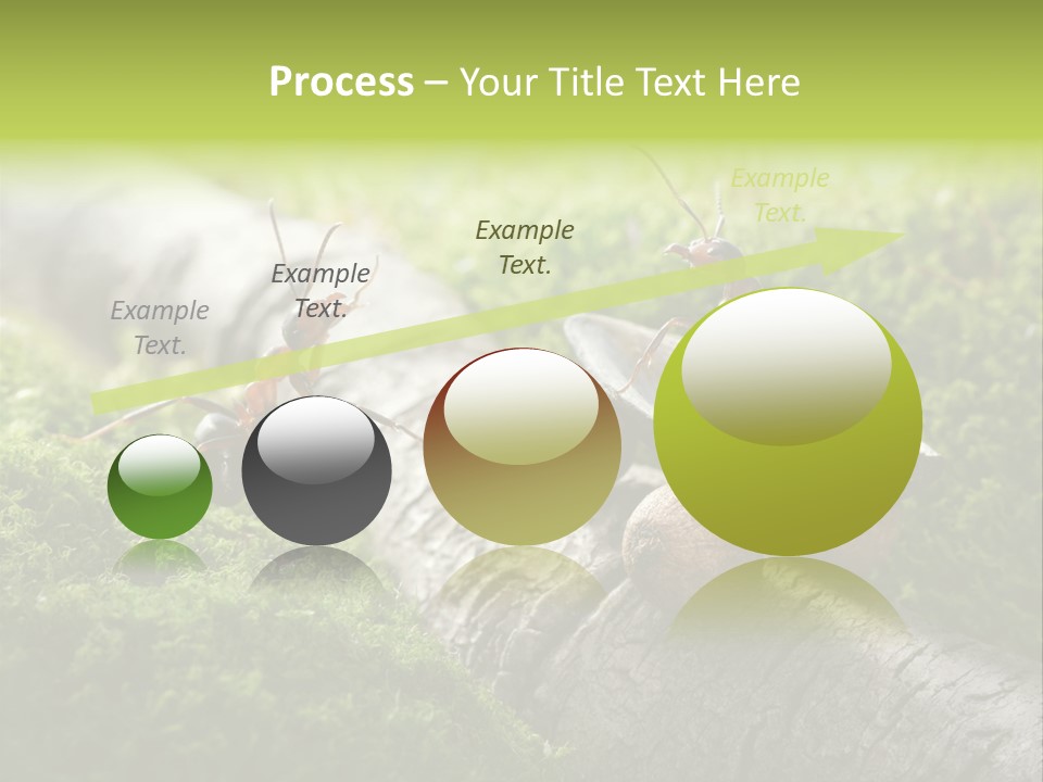 Car Way Rural PowerPoint Template