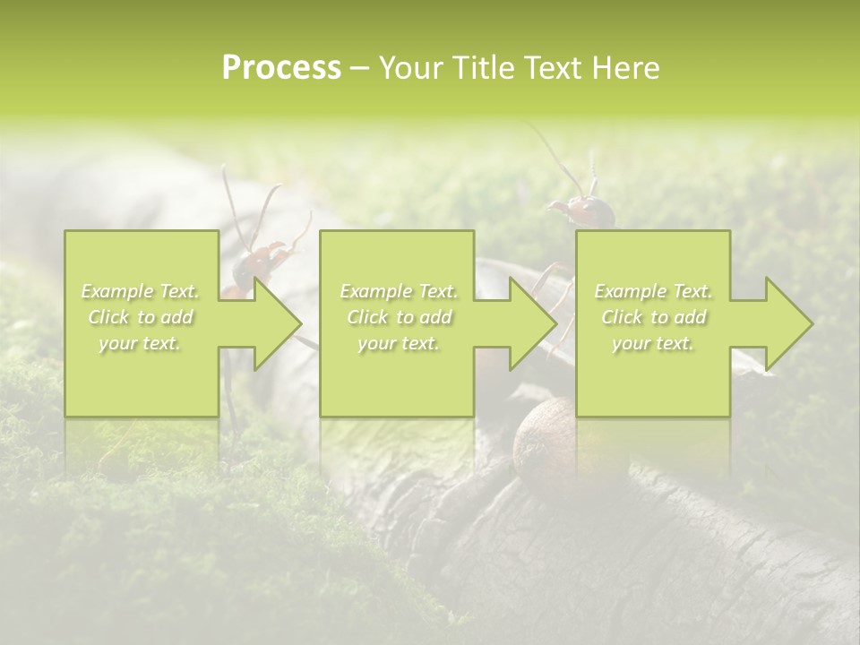 Car Way Rural PowerPoint Template
