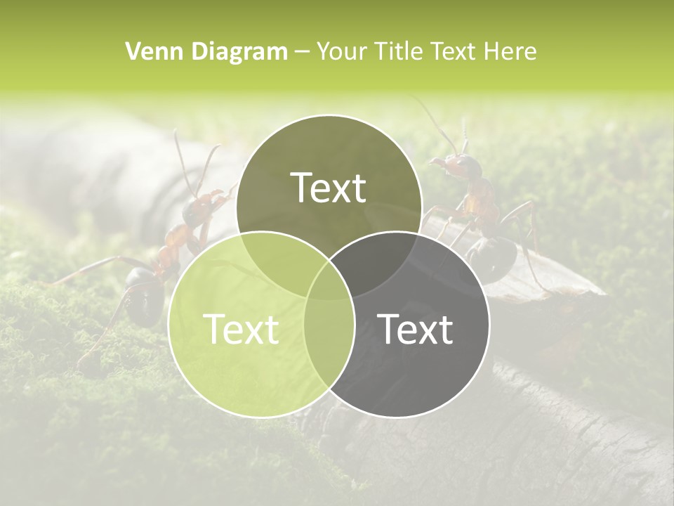 Car Way Rural PowerPoint Template