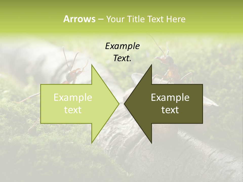 Car Way Rural PowerPoint Template