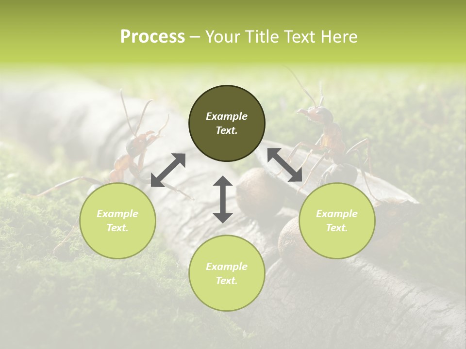 Car Way Rural PowerPoint Template
