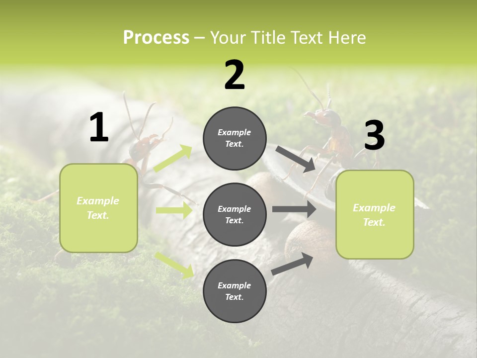 Car Way Rural PowerPoint Template