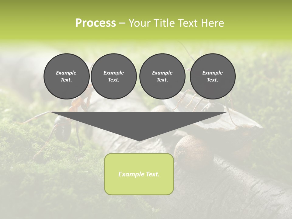 Car Way Rural PowerPoint Template