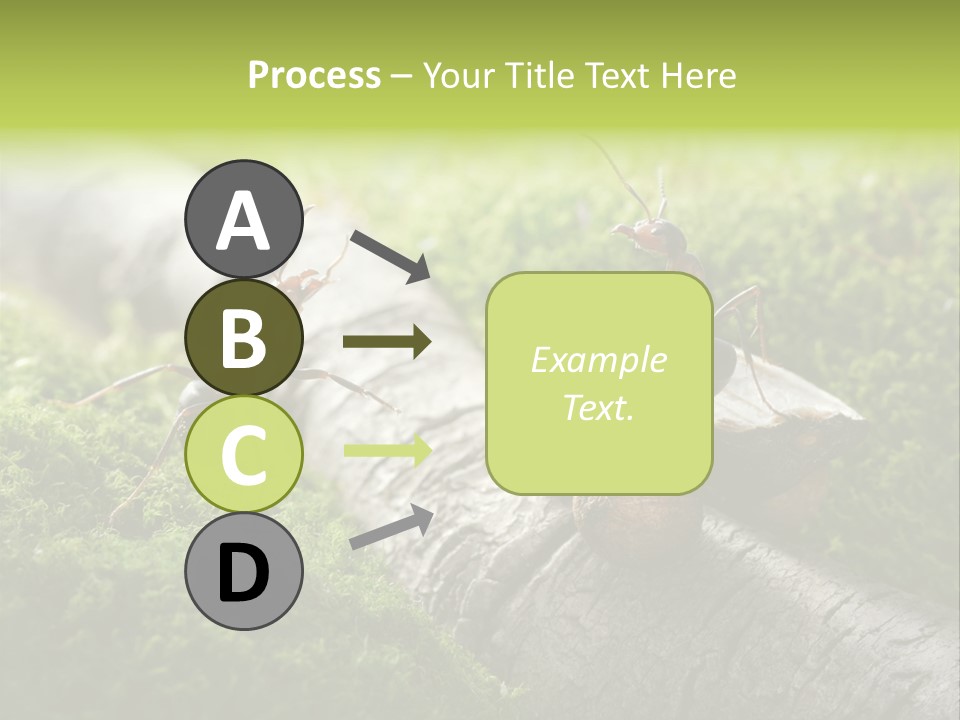 Car Way Rural PowerPoint Template