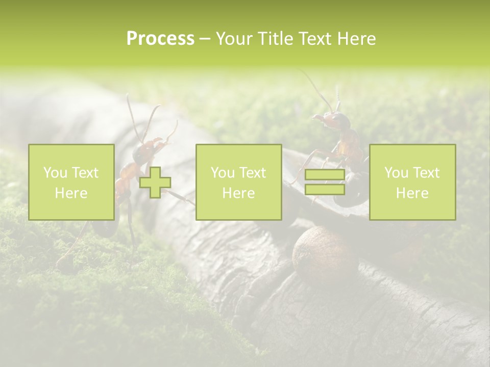 Car Way Rural PowerPoint Template