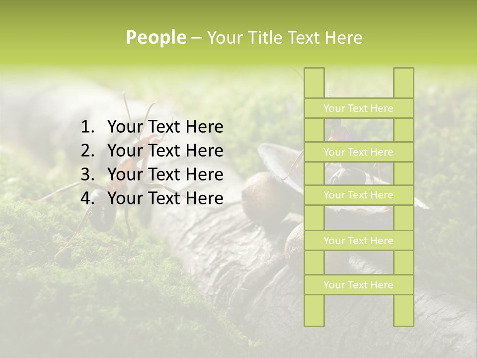 Car Way Rural PowerPoint Template