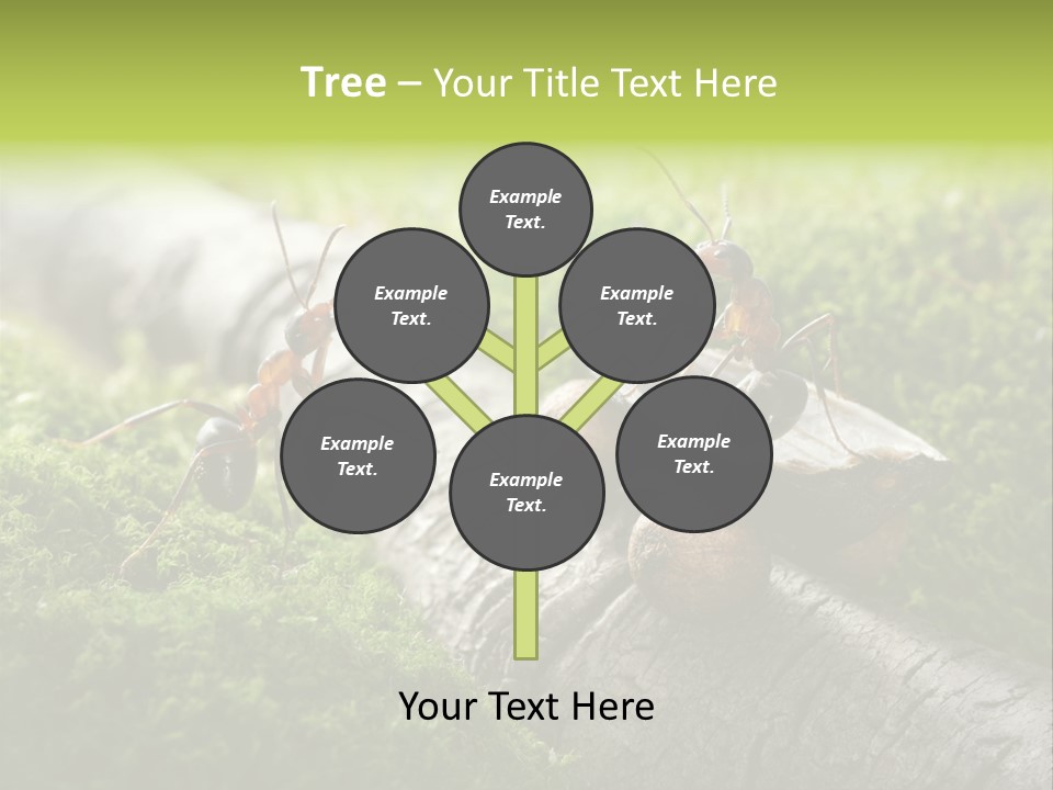 Car Way Rural PowerPoint Template