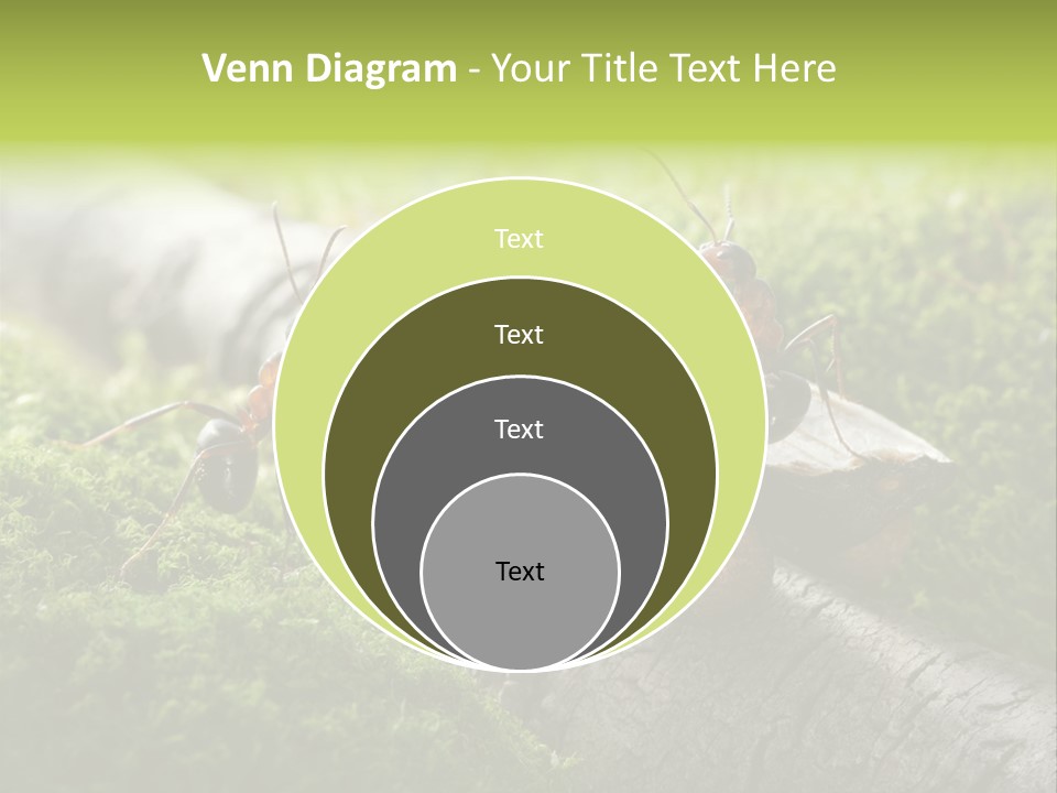 Car Way Rural PowerPoint Template
