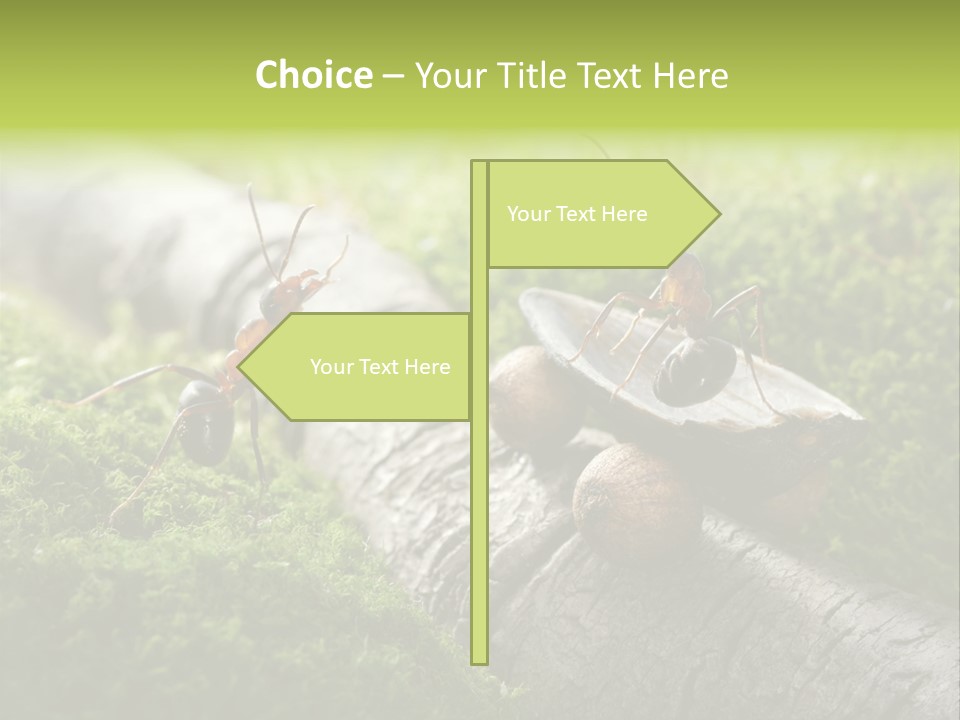 Car Way Rural PowerPoint Template