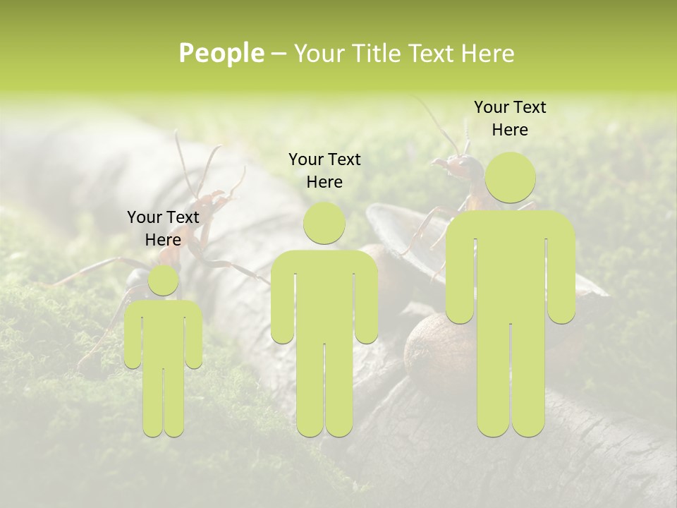 Car Way Rural PowerPoint Template