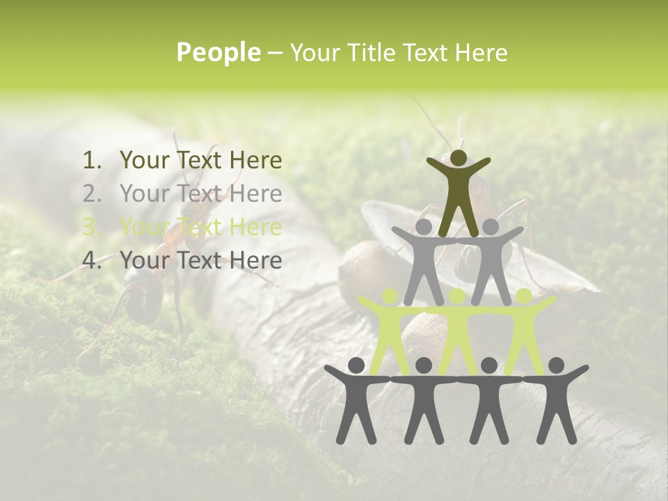 Car Way Rural PowerPoint Template