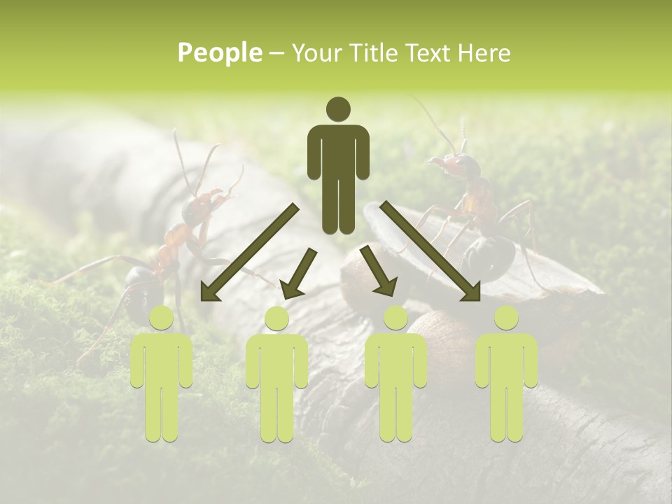 Car Way Rural PowerPoint Template