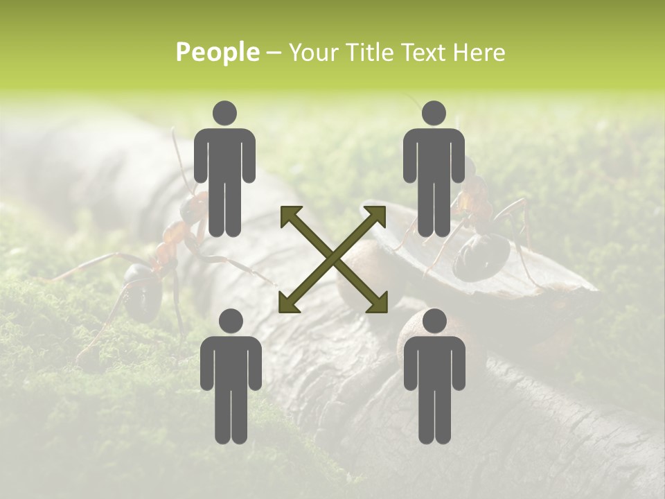 Car Way Rural PowerPoint Template