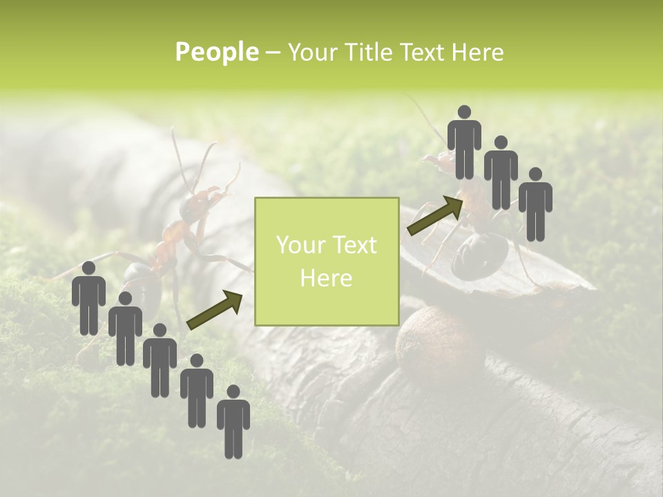 Car Way Rural PowerPoint Template