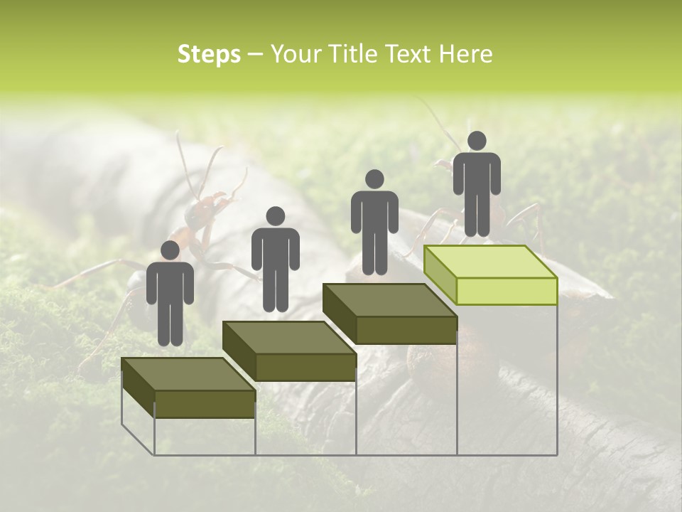 Car Way Rural PowerPoint Template