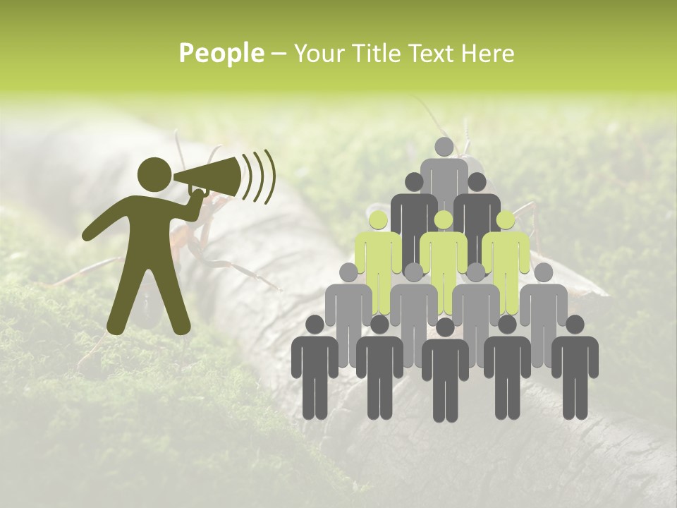 Car Way Rural PowerPoint Template