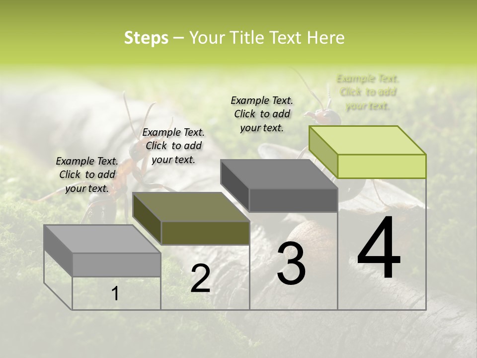 Car Way Rural PowerPoint Template