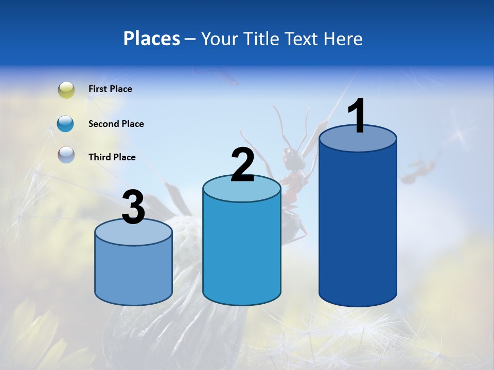 Antrey Summer Flower PowerPoint Template