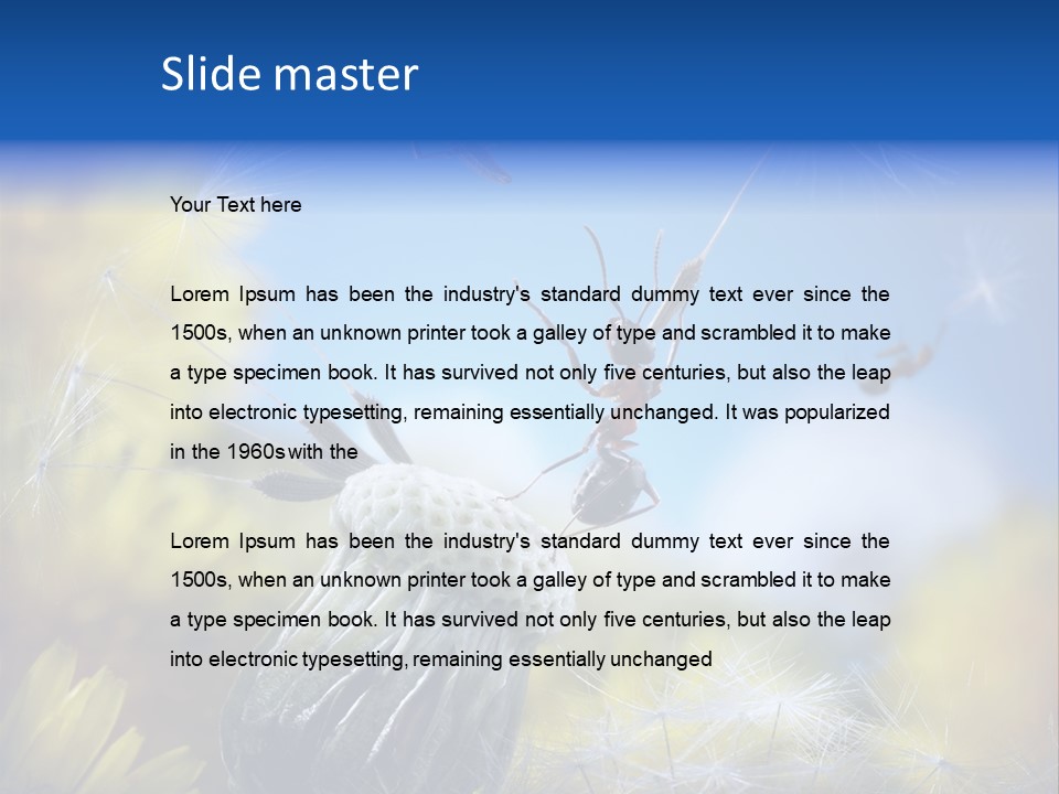 Antrey Summer Flower PowerPoint Template