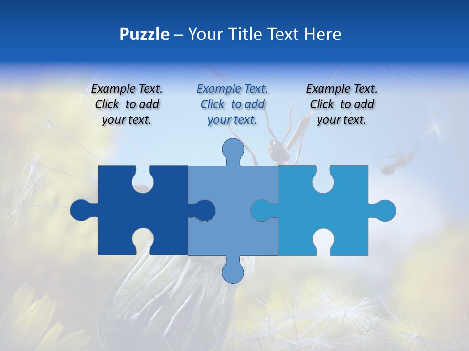 Antrey Summer Flower PowerPoint Template